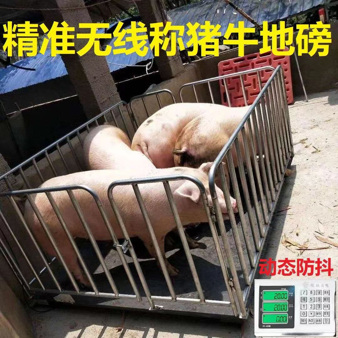 養(yǎng)殖場電子地磅 無線地磅